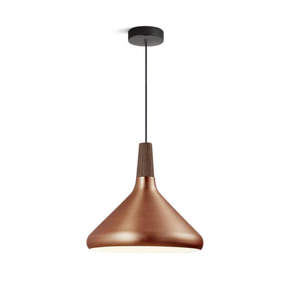 Simple Elegant Pendant Light for Home Ceiling