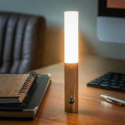 Bright LED Outdoor Motion Lamp