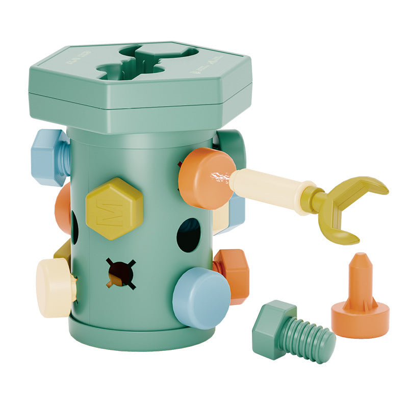 Wooden Educational Screw Toy Set