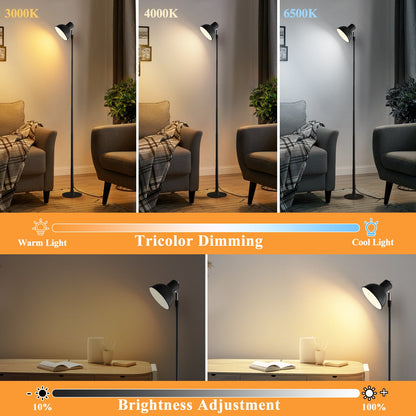 Bright Adjustable Desk Lamp for Home Office Study