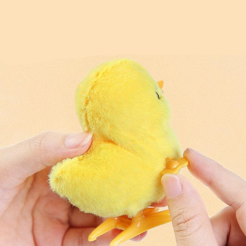 Fun Pull Along Kid Toy