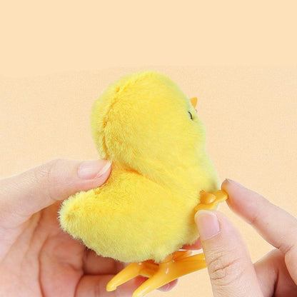 Fun Pull Along Kid Toy