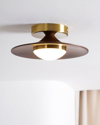 Sleek LED Ceiling Fixture Low Profile Mount