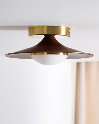 Sleek LED Ceiling Fixture Low Profile Mount