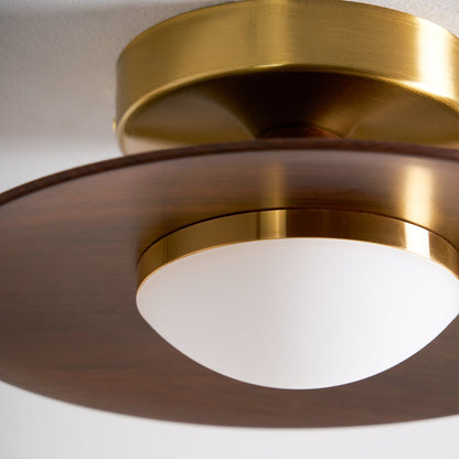 Sleek LED Ceiling Fixture Low Profile Mount