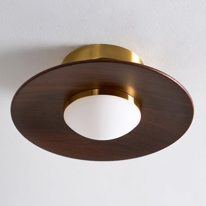 Sleek LED Ceiling Fixture Low Profile Mount