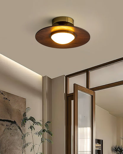 Sleek LED Ceiling Fixture Low Profile Mount