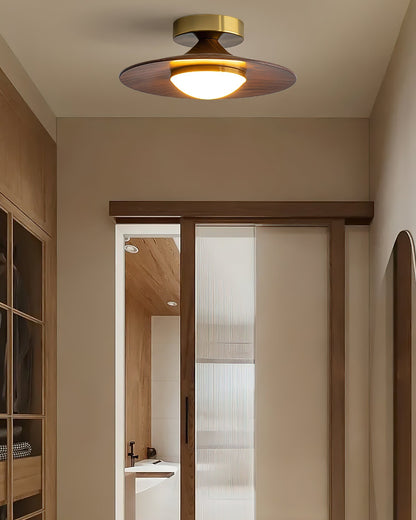 Sleek LED Ceiling Fixture Low Profile Mount