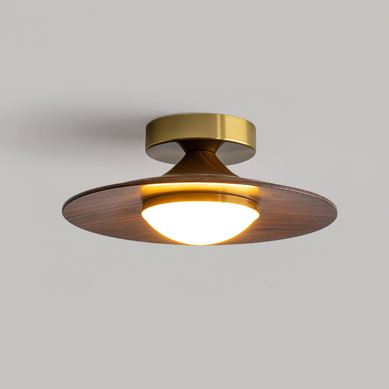 Sleek LED Ceiling Fixture Low Profile Mount