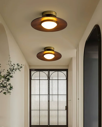 Sleek LED Ceiling Fixture Low Profile Mount