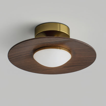 Sleek LED Ceiling Fixture Low Profile Mount