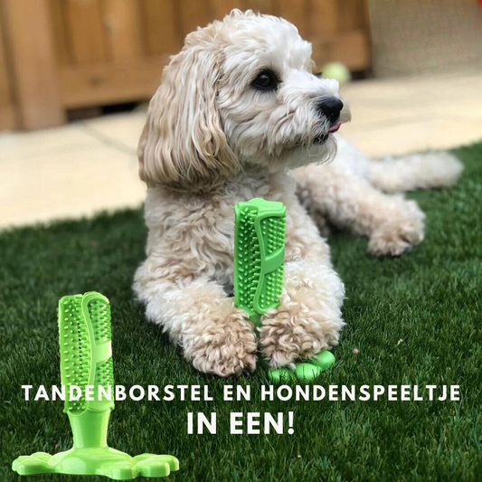 Tough Dog Chew Toy for Healthy Teeth and Fresh Breath - Fesara