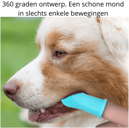 Easy Pet Toothbrush for Dogs Dental Care