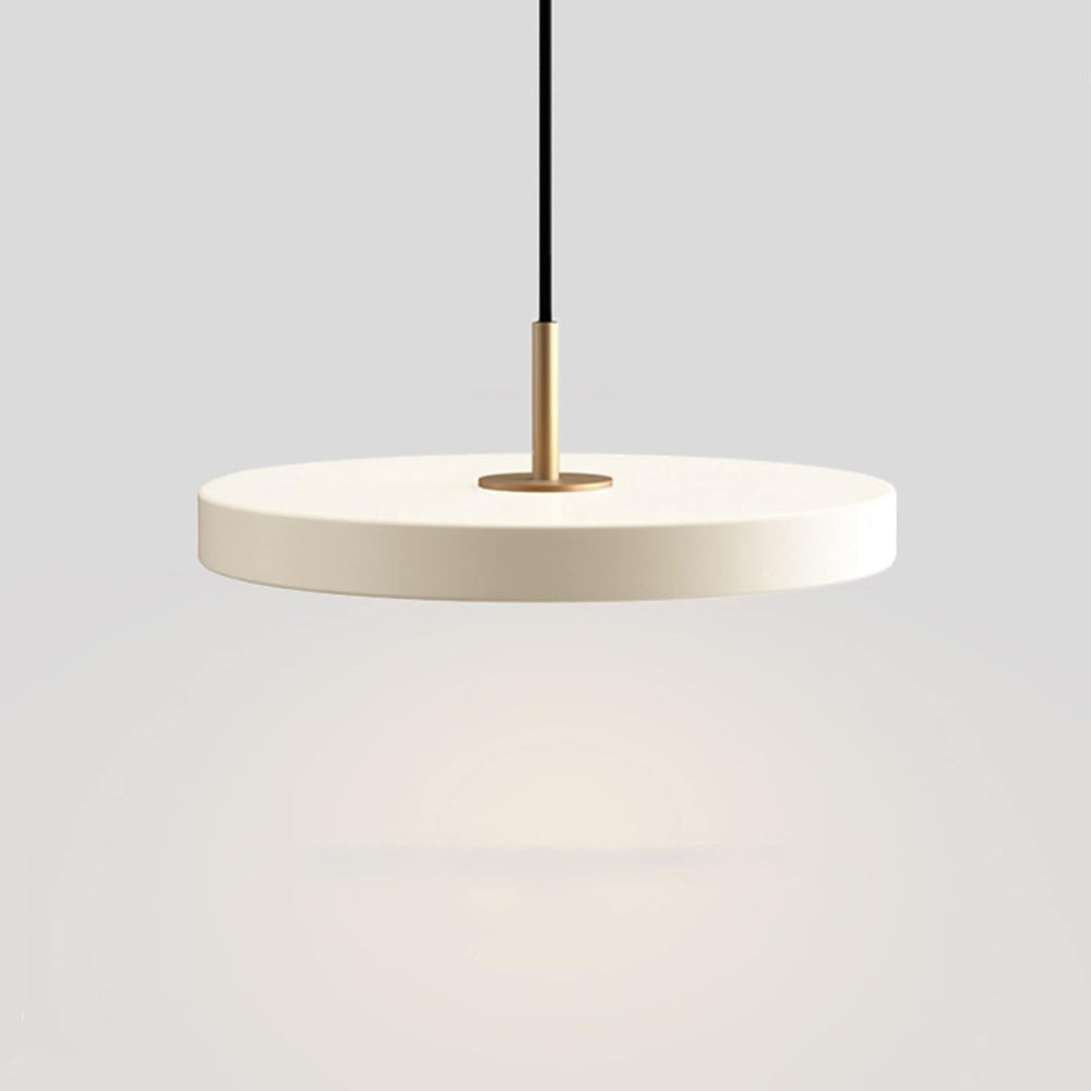 Simple Round LED Hanging Light Fixture