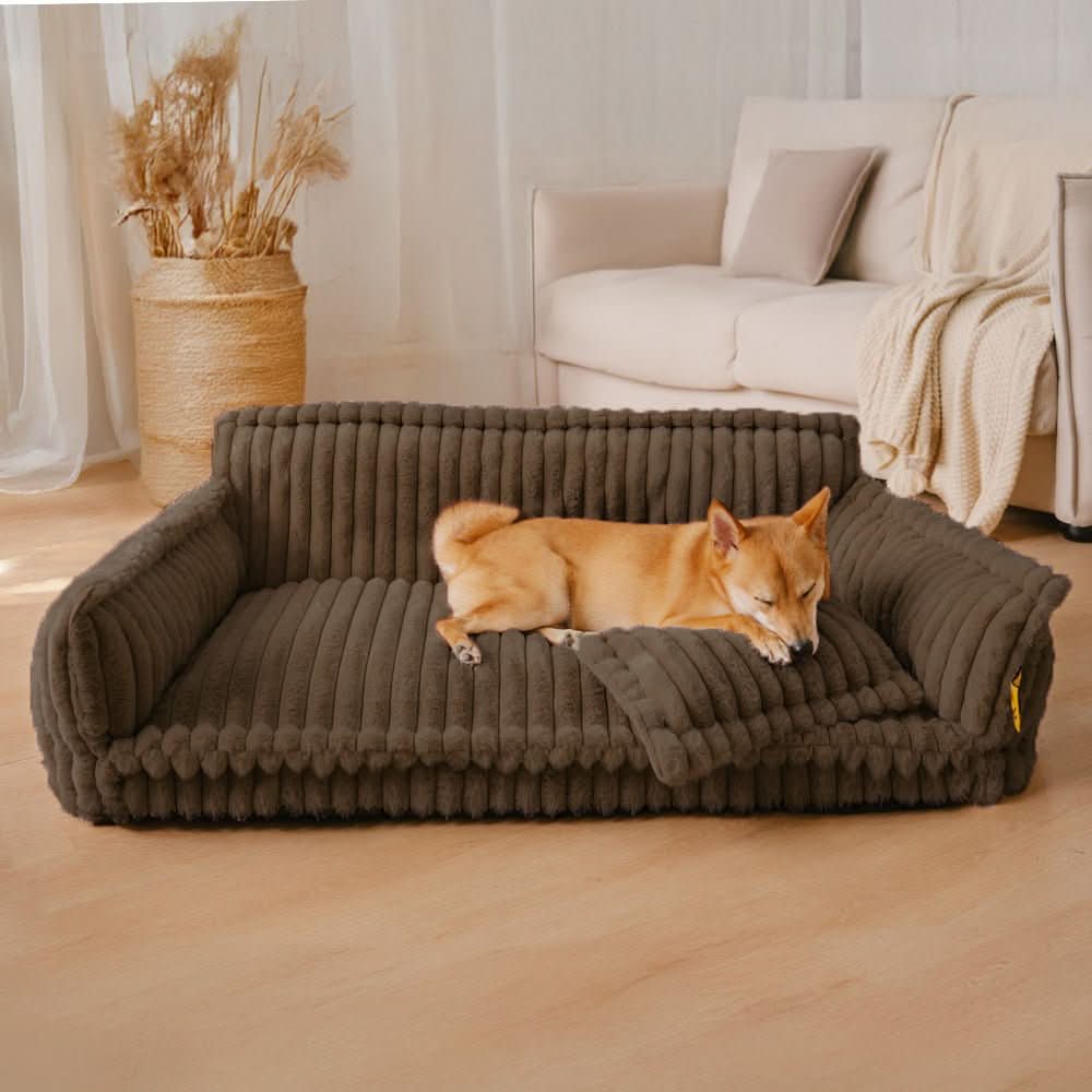 Comfy Orthopedic Dog Bed with Neck Support