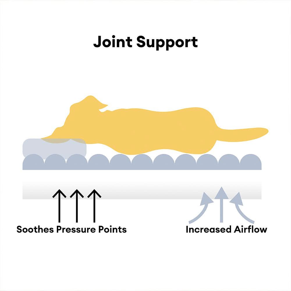 Comfy Orthopedic Dog Bed with Neck Support