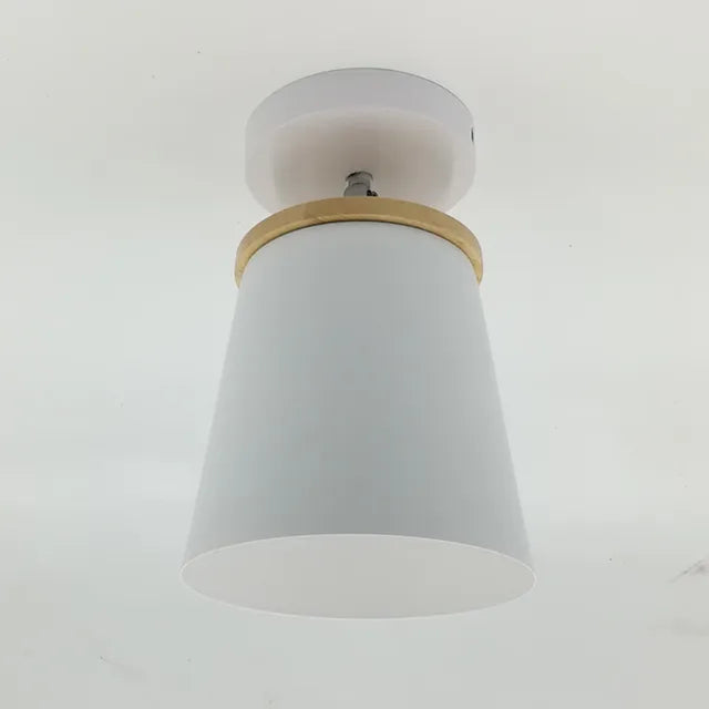 Pastel Colorful LED Ceiling Light