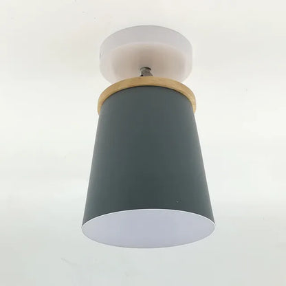 Vibrant Macaroon Style Overhead Light
