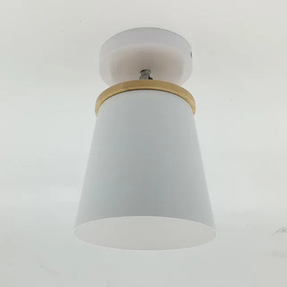 Vibrant Macaroon Style Overhead Light