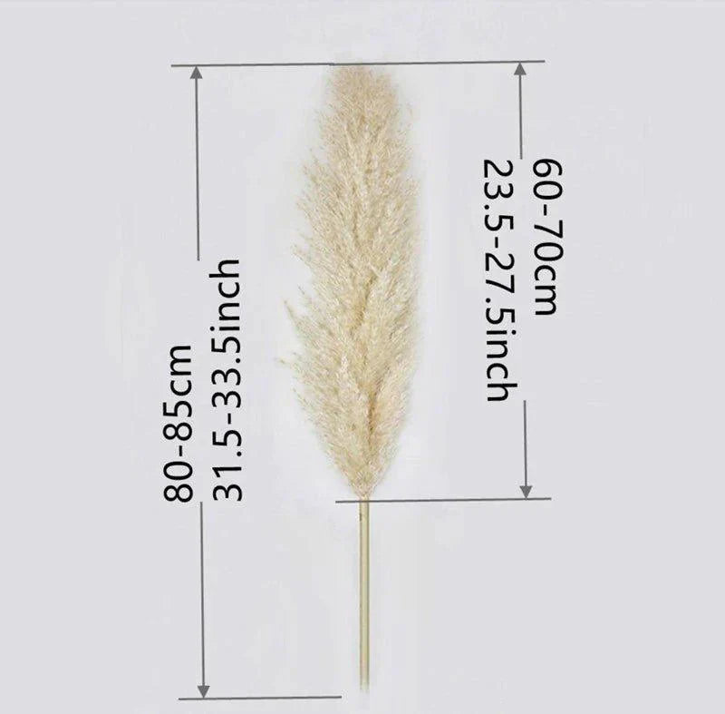 PampasElegance | Stylish Natural Dried Flower Bouquet for Home Décor 2