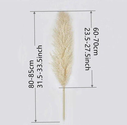 PampasElegance | Stylish Natural Dried Flower Bouquet for Home Décor 2