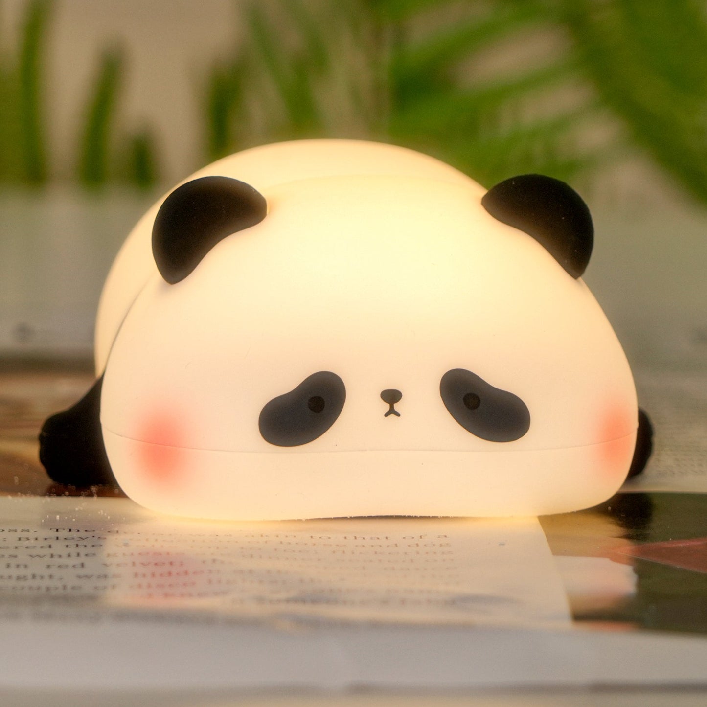Modern Desk Lamp
