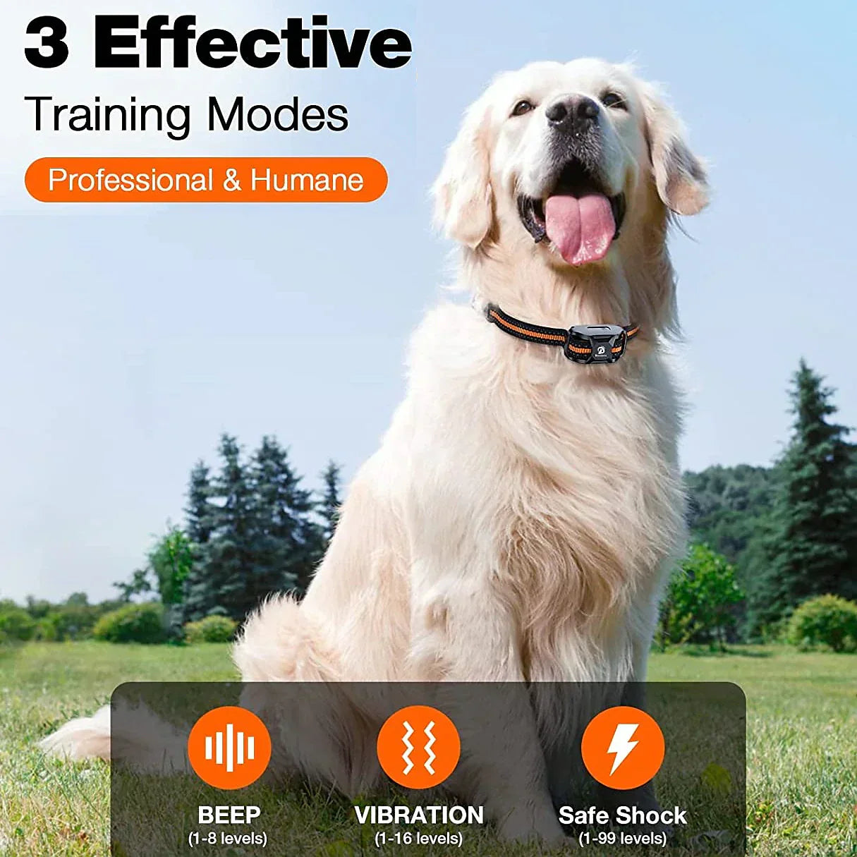 Long Range Rechargeable Dog Training Collar with Remote