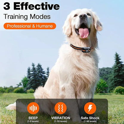 Long Range Rechargeable Dog Training Collar with Remote