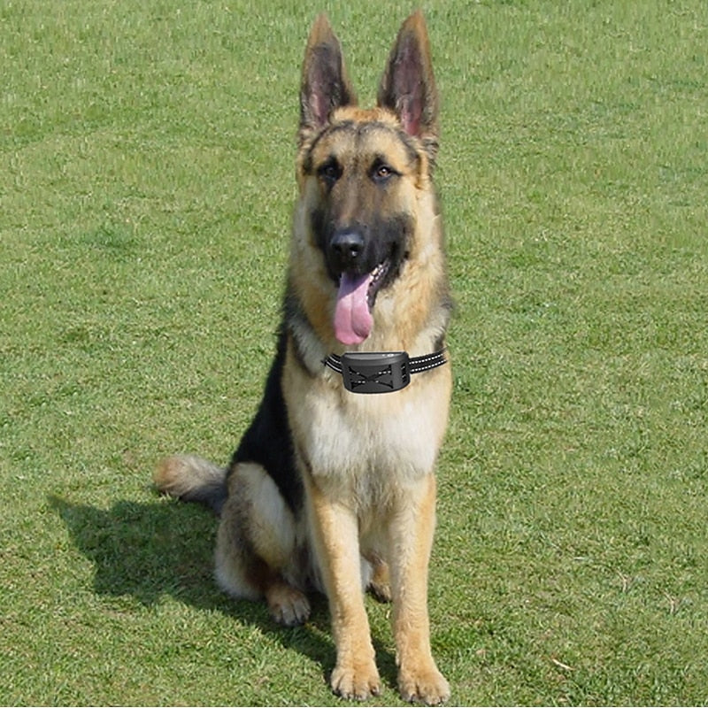 PetSafe Wireless Dog Containment System With Receiver Collar