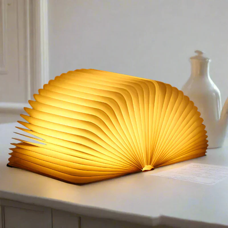 Portable LED Reading Lamp