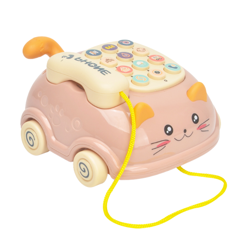 Cat Whisker Phone Case