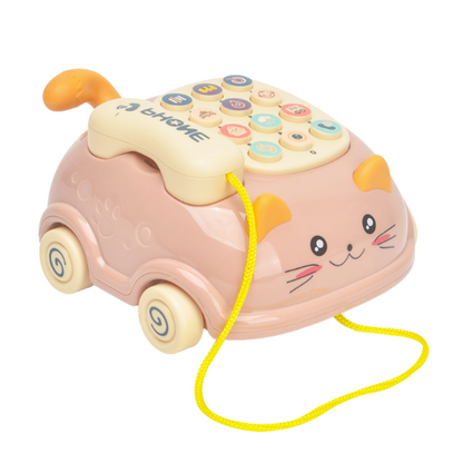 Cat Whisker Phone Case