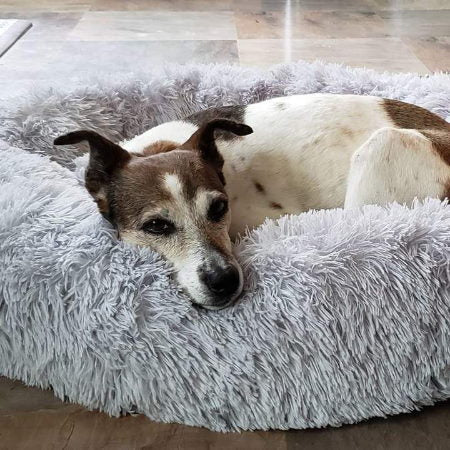 PlushHaven | Cozy Orthopedic Large Dog Bed with Washable Cover 3