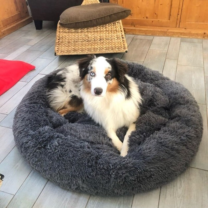 PlushHaven | Cozy Orthopedic Large Dog Bed with Washable Cover 6