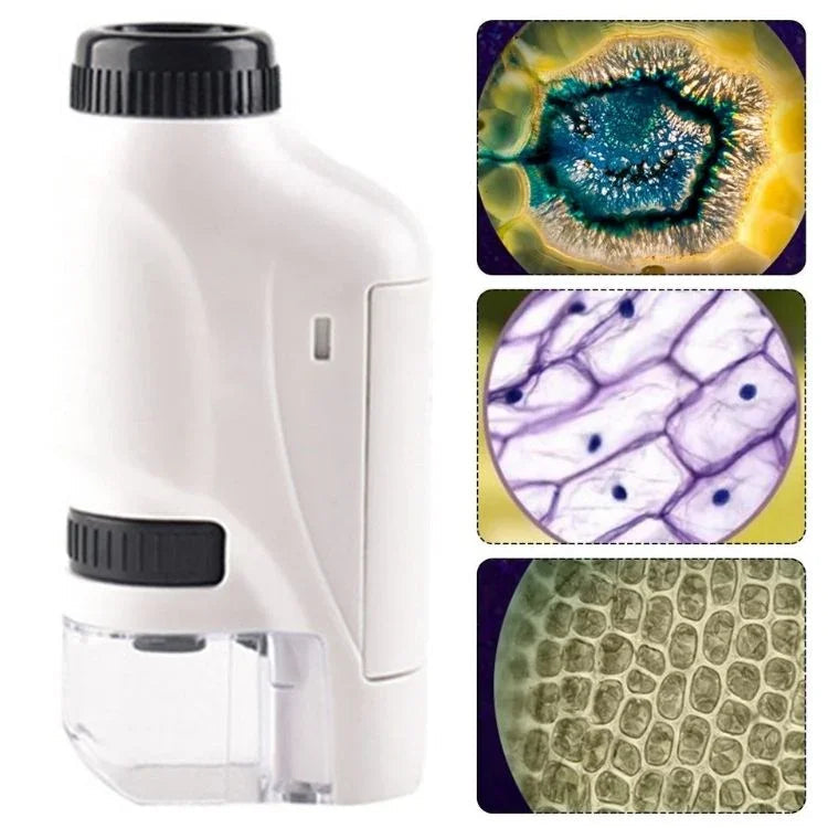 Kid Friendly Pocket Microscope 60x Zoom