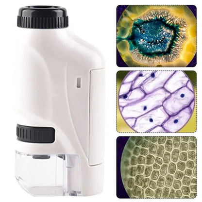 Kid Friendly Pocket Microscope 60x Zoom