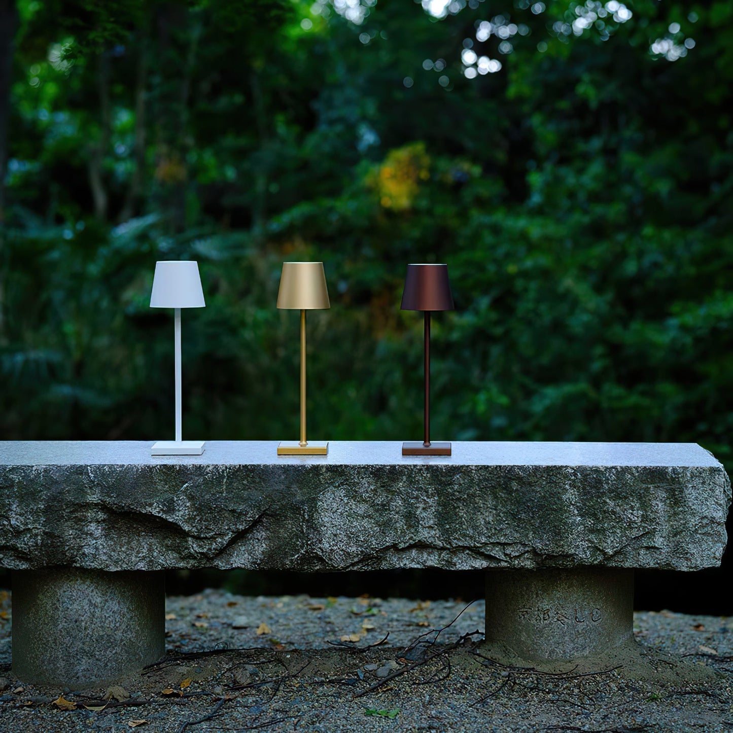 Stylish LED Desk Lamp with USB Charger