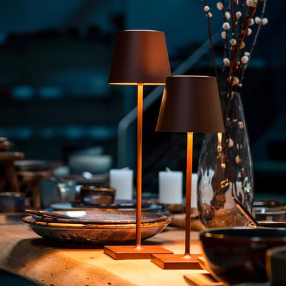 Stylish LED Desk Lamp with USB Charger