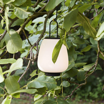 Classic Soft Glow Table Lamp