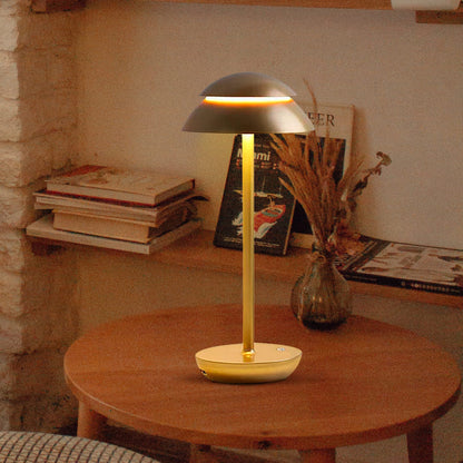 Bright Portable LED Desk Lamp
