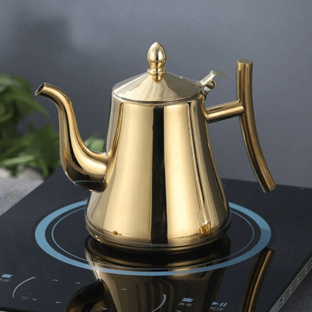 Fast Boiling Stainless Steel Kettle with Water Purifier - Fesara