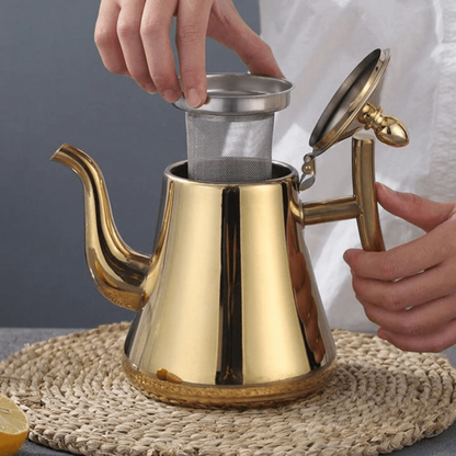 Fast Boiling Stainless Steel Kettle with Water Purifier