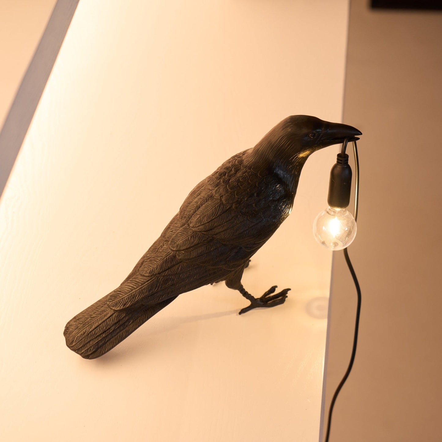 Unique Bird Design LED Desk Lamp with Plug