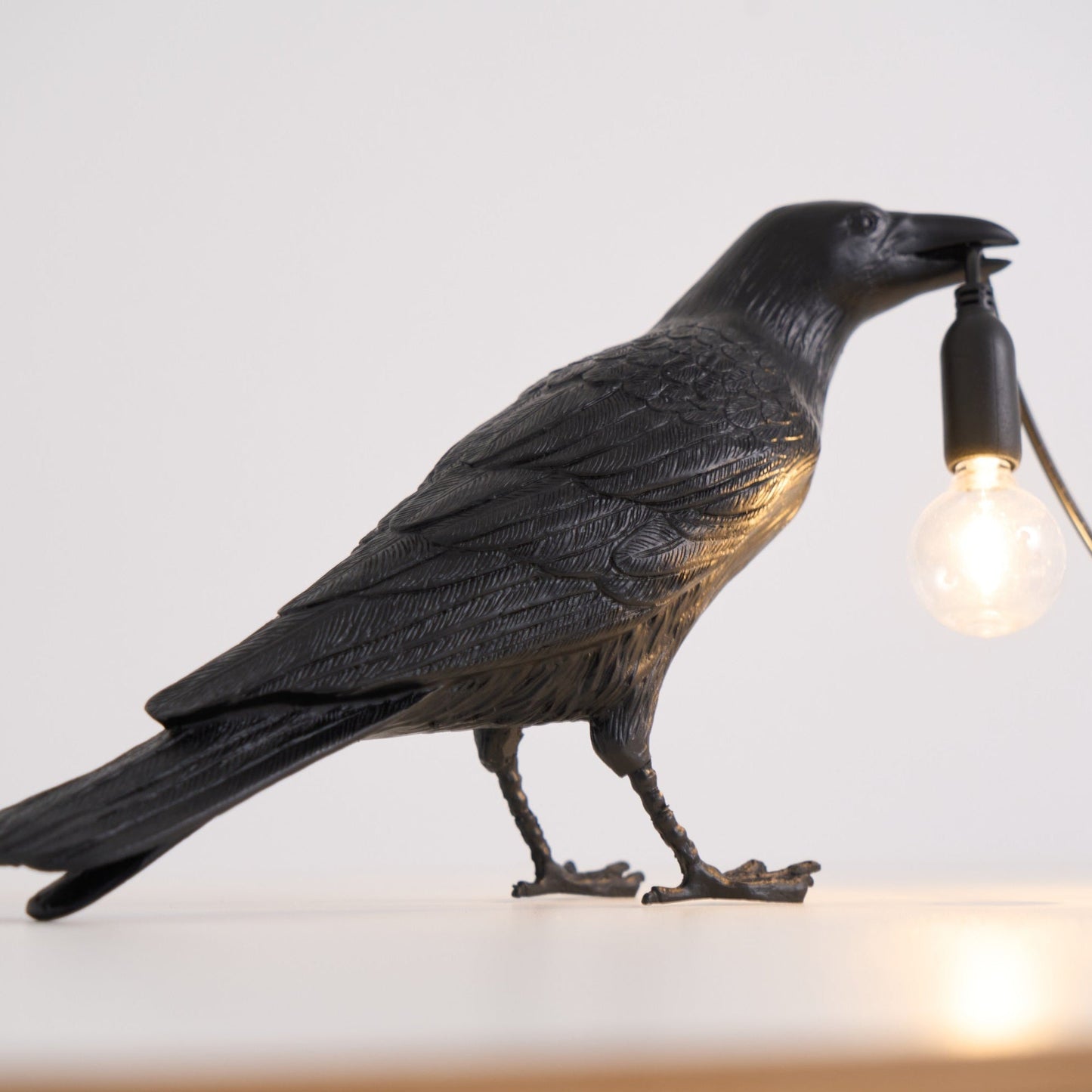Unique Bird Design LED Desk Lamp with Plug