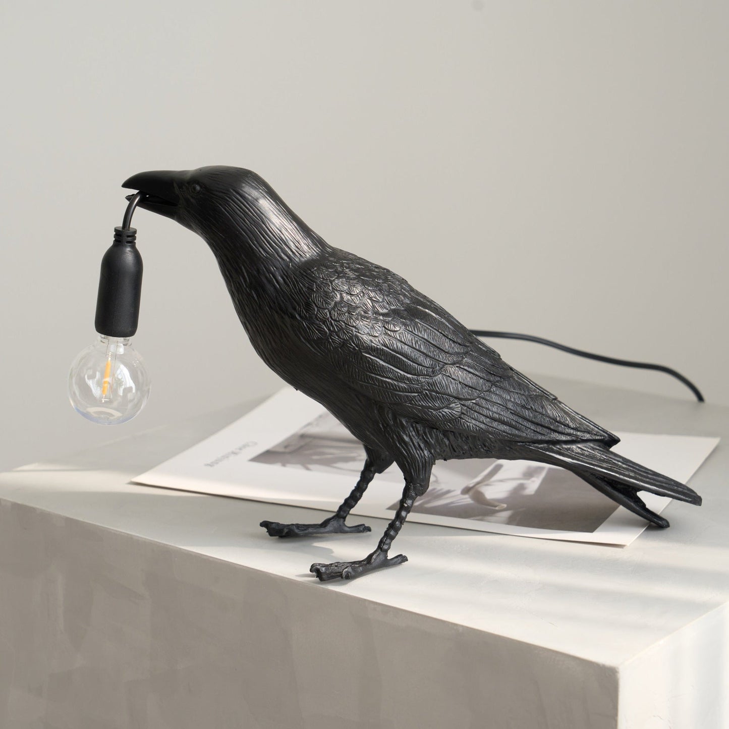 Unique Bird Design LED Desk Lamp with Plug