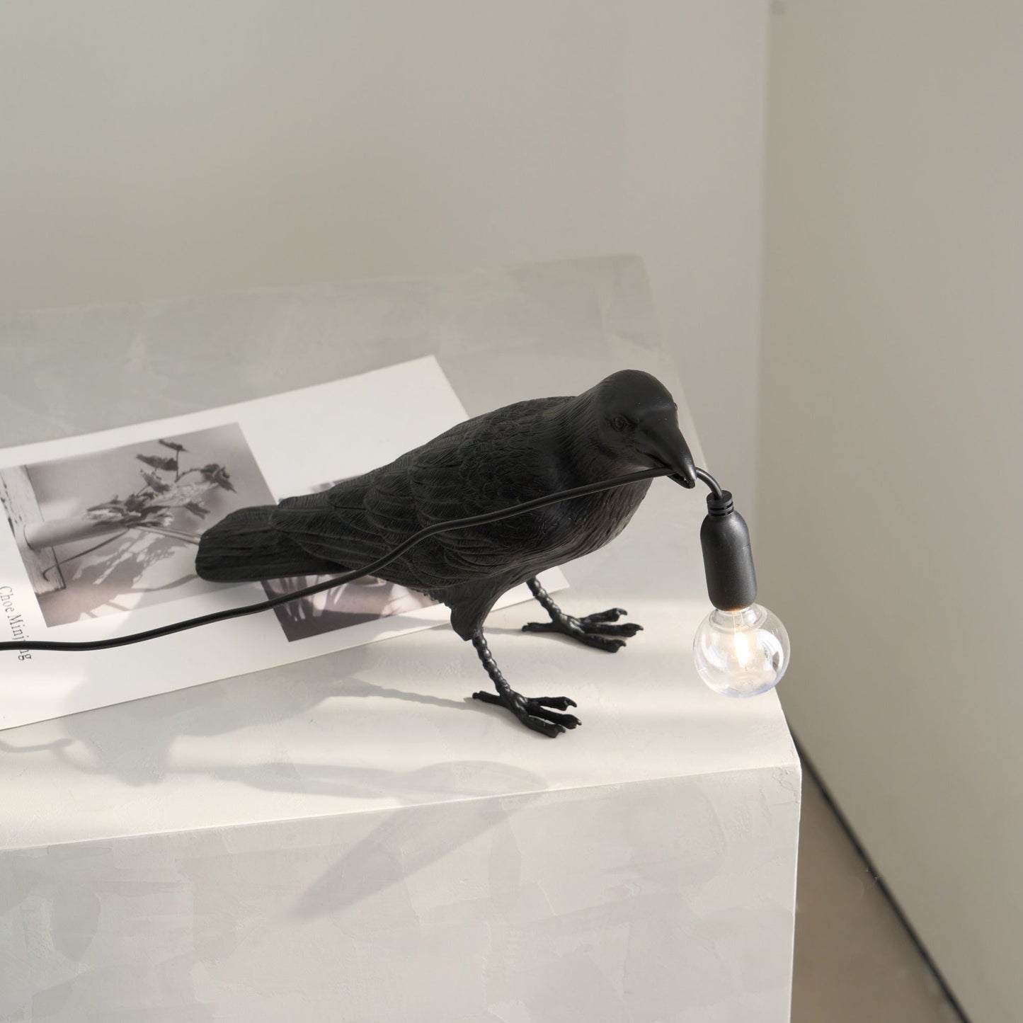 Unique Bird Design LED Desk Lamp with Plug
