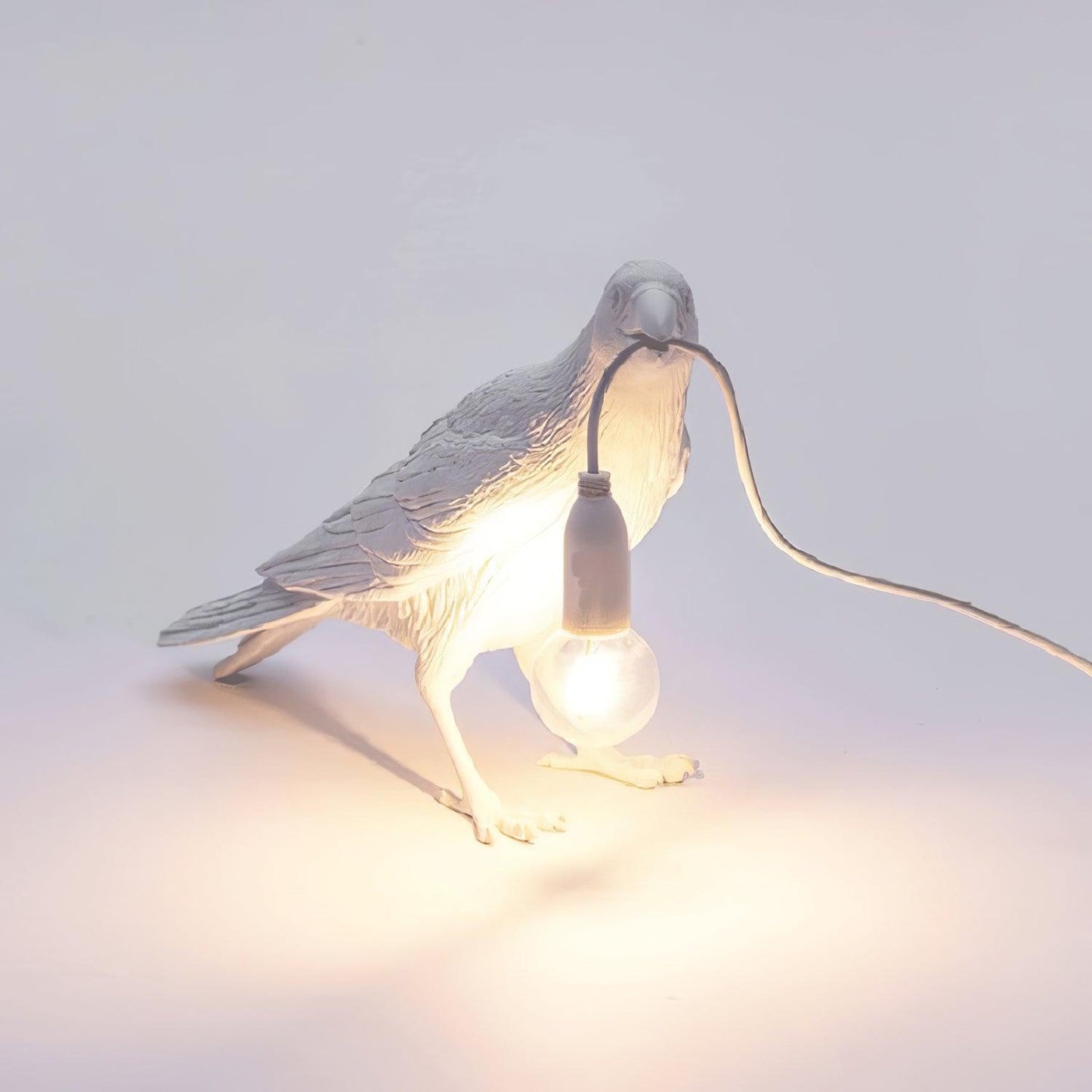 Unique Bird Design LED Desk Lamp with Plug