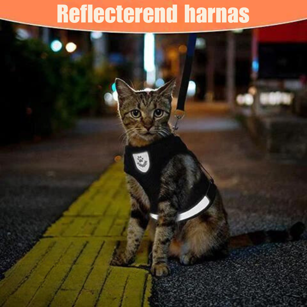 Reflective Cat Harness and Leash Set with Adjustable Straps for Safe Night Adventures – Comfortable Fit for Cats and Kittens-2