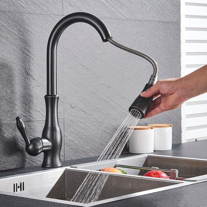 Flexible Long Reach Kitchen Faucet
