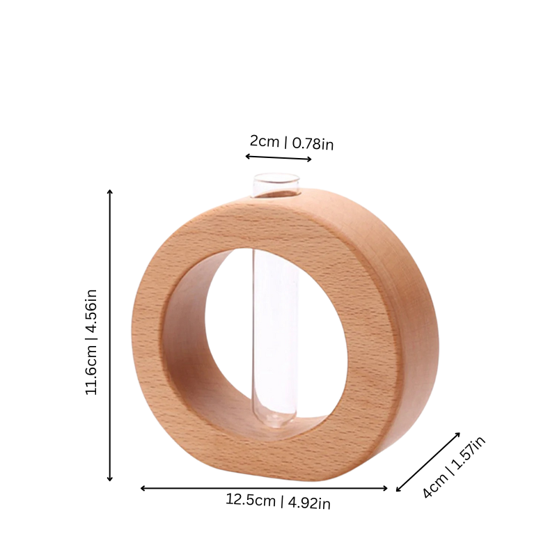 Fesara Tree Root Display - Fesara